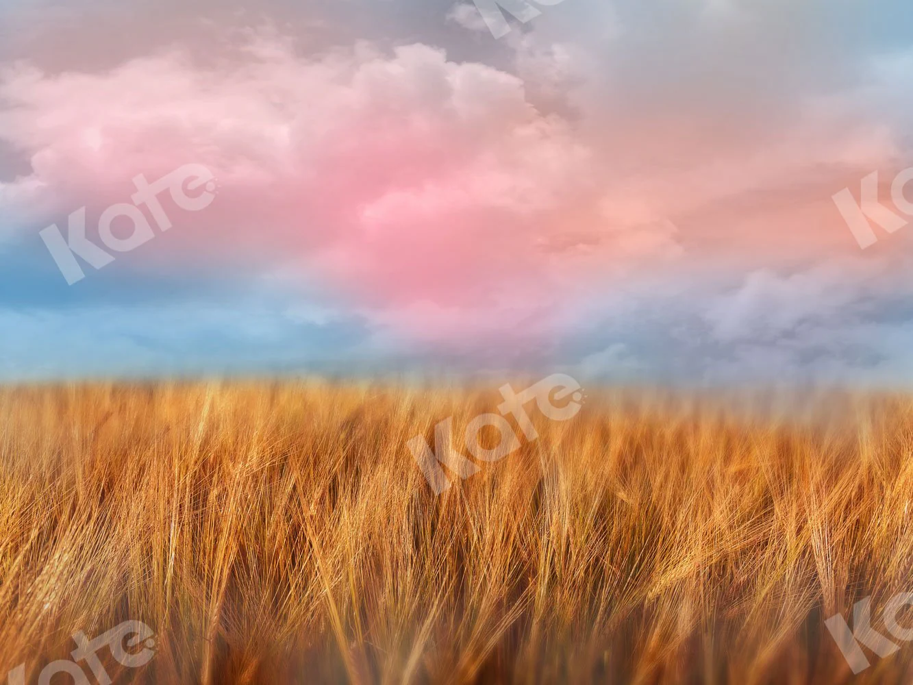 Kate Autumn Backdrop Blue Sky Wheatfield for Photography