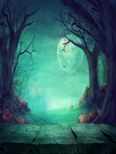 Kate Fantasy Halloween Forest Night Moon Backdrops for Photography - Image 2