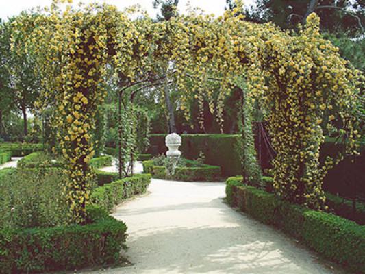 Kate Park Wedding Backdrop European style garden For Photography