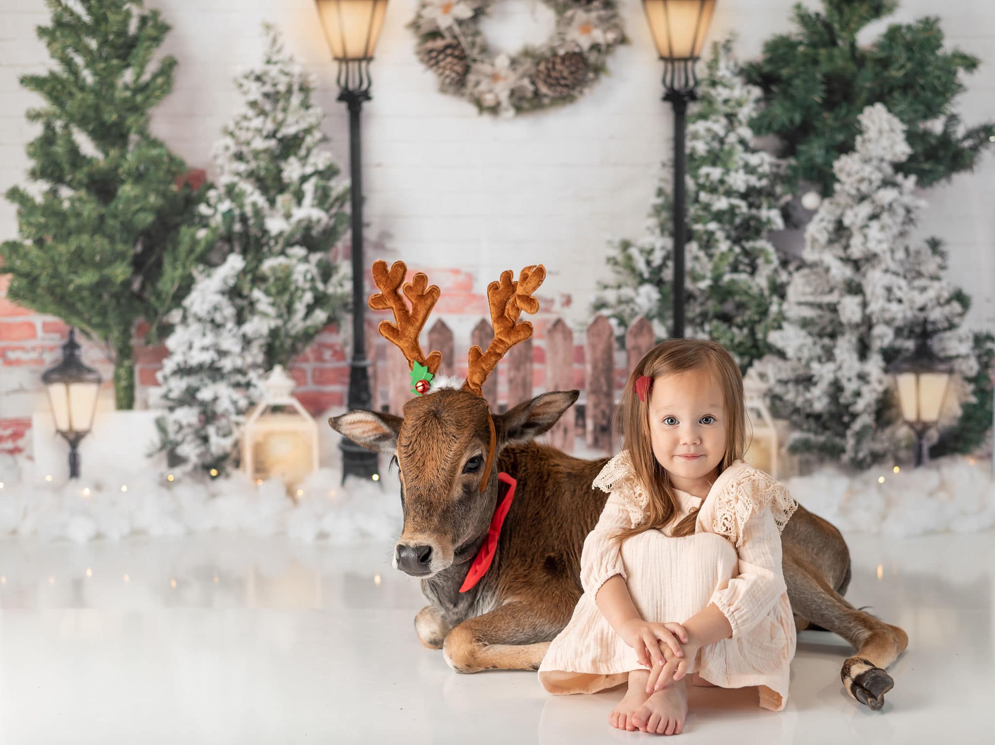 Kate Christmas Garden with Lights Backdrop Designed by Emetselch