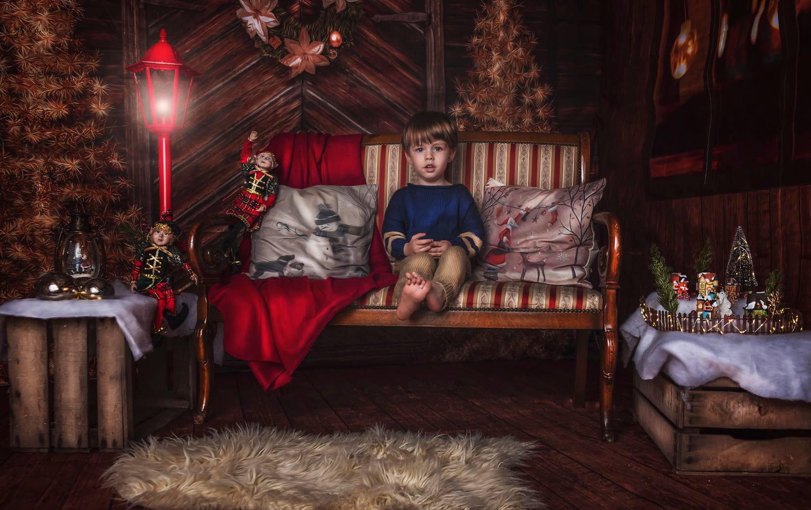 Kate Christmas Trees Wood Indoor Backdrop Room Set