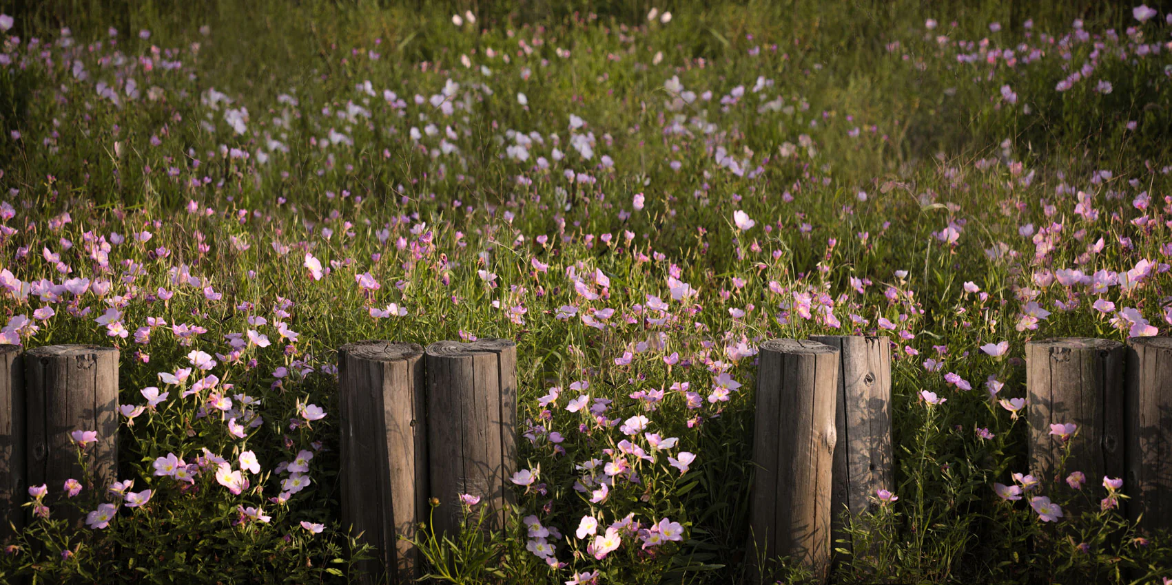 Kate Spring Flowers Lawn Backdrop Designed by Jia Chan Photography - Image 3