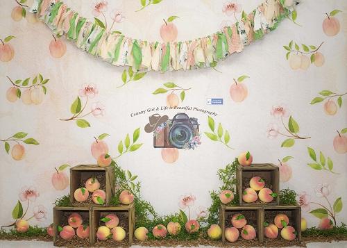 Kate Georgia Peach Backdrop Designed By Leann West