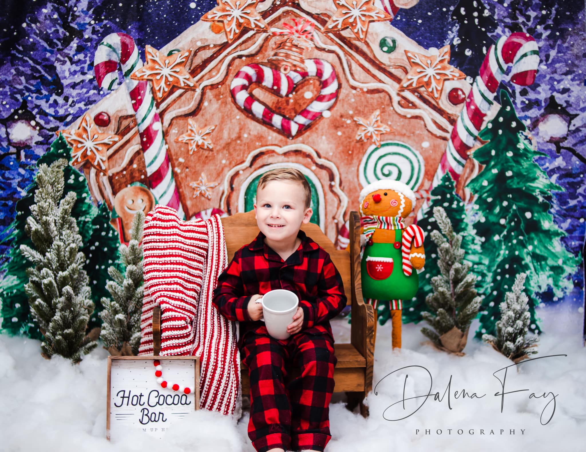 Kate Christmas Backdrop Winter Gingerbread House Designed by GQ