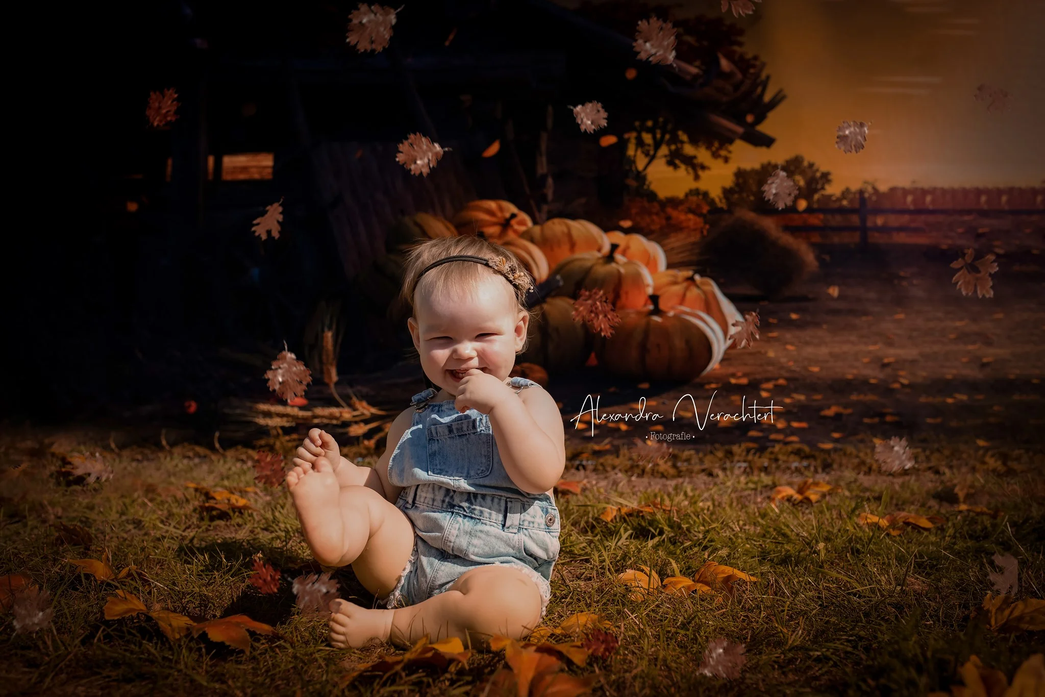 Kate Autumn Harvest Pumpkins Sunset Fallen Leaves Backdrop for Photography