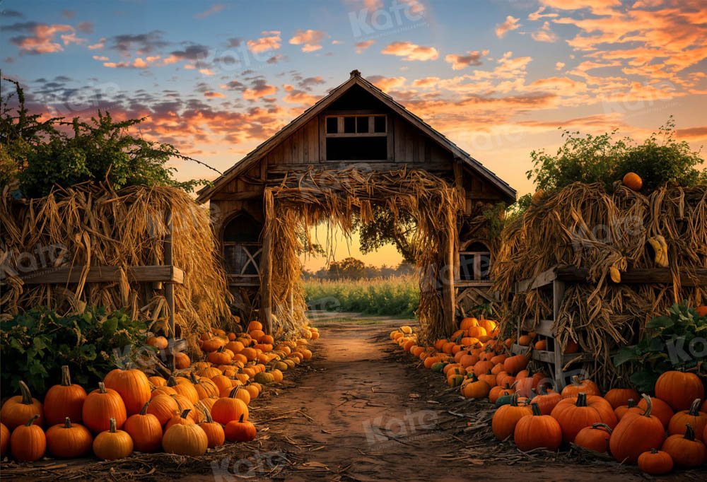 Kate Autumn Pumpkin Farm Backdrop for Photography - Image 2