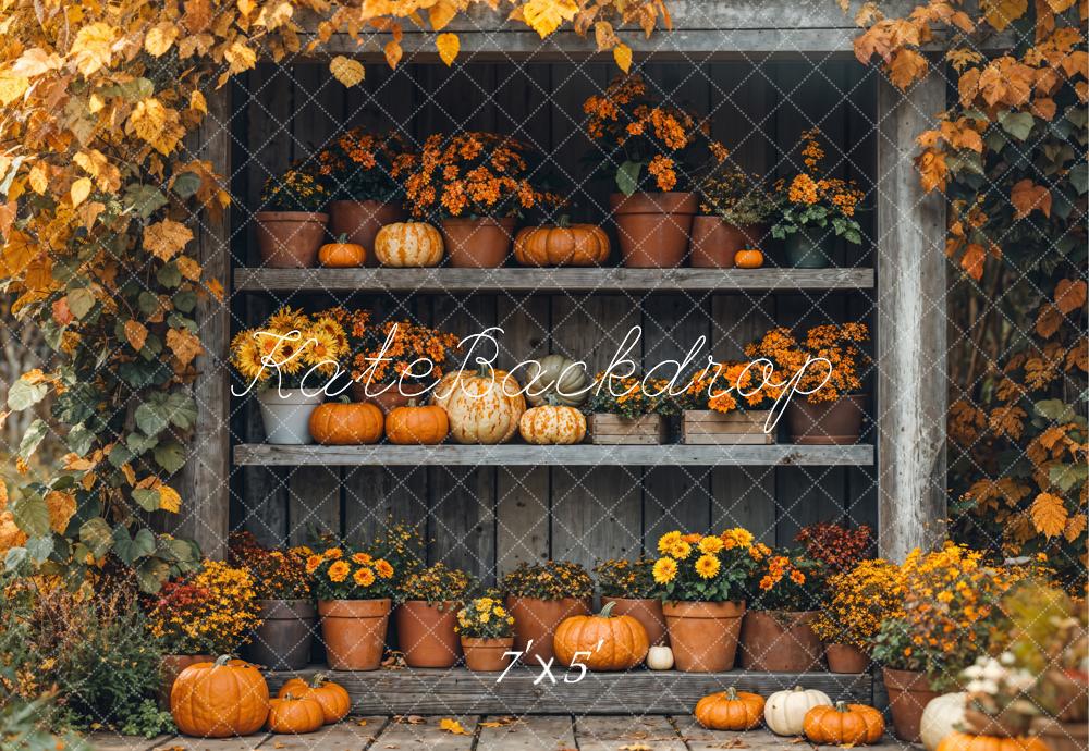 Kate Autumn Pumpkin Shelf Maple Backdrop Designed by Emetselch