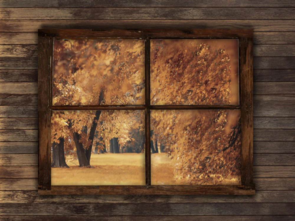 Kate Autumn Window Backdrop for Photography