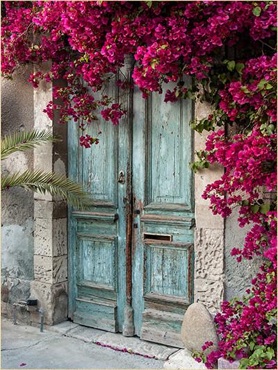 Kate Blue Door Red Floral Scenery Concrete Backdrop for Couple Photography - Image 2