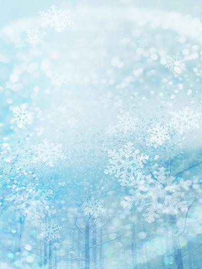 Kate Blue White Glitter Snowflake Winter Bokeh Halos Backdrops Christmas