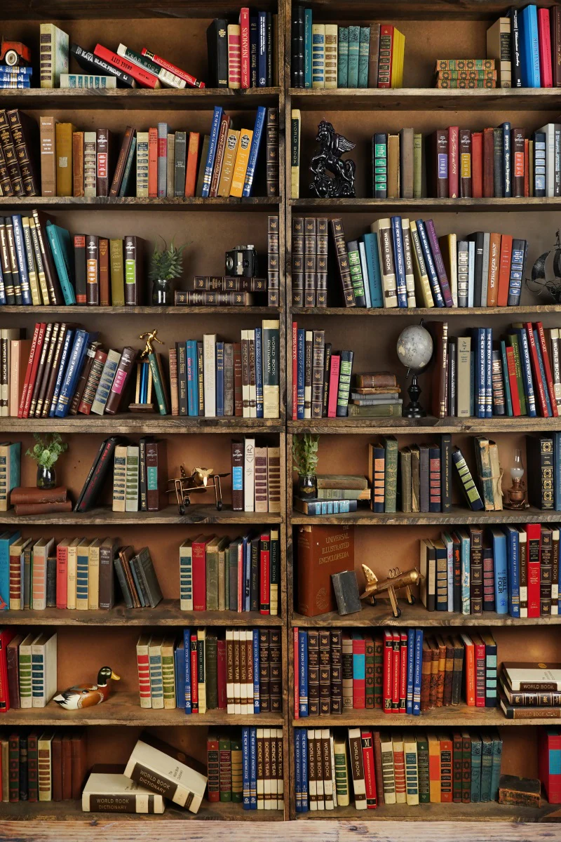 Kate Bookshelf Back to School Children Backdrop Designed by Arica Kirby - Image 6