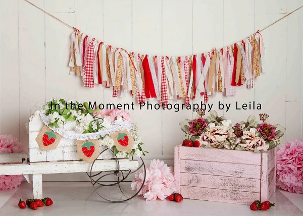 Kate Children Strewberry Pink Decorations Summer Backdrop for Photography Designed By Leila Steffens