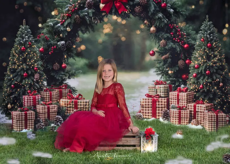 Kate Christmas Arch Gift Boxes Forest Backdrop Designed by Emetselch