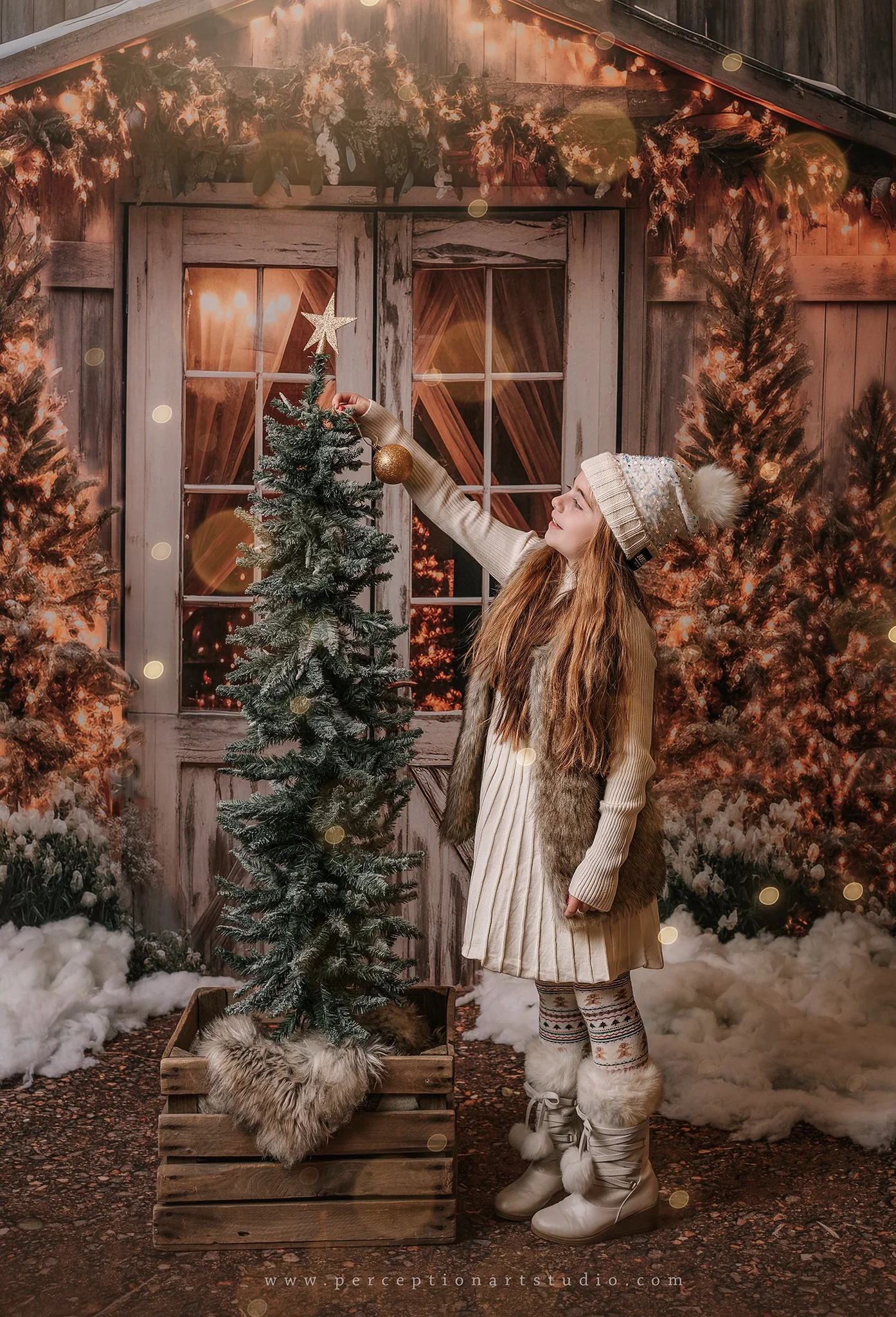 Kate Christmas Barn Backdrop Designed by Emetselch