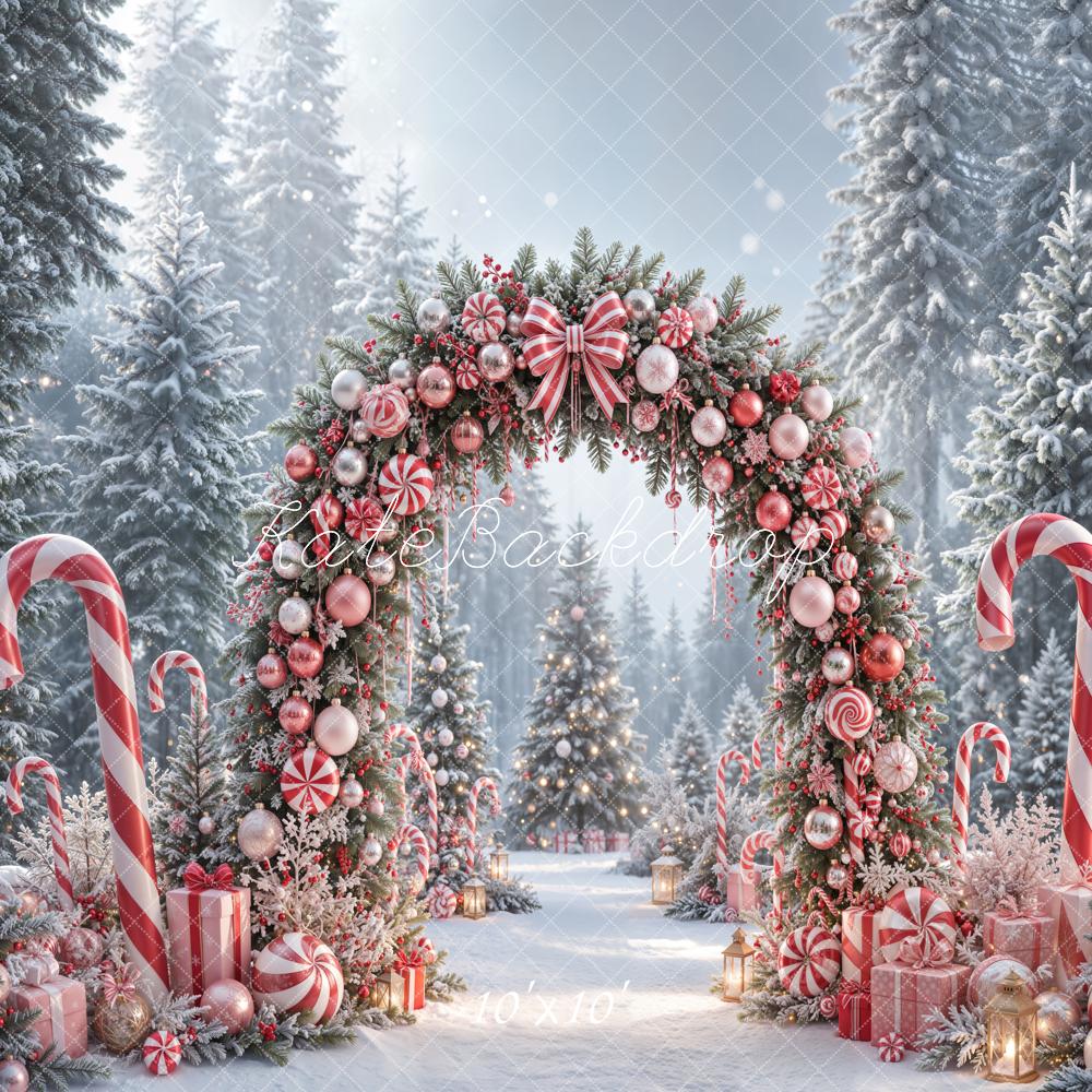 Kate Christmas Candy Cane Peppermint Arch Snowy Forest Backdrop Designed by Emetselch - Image 7