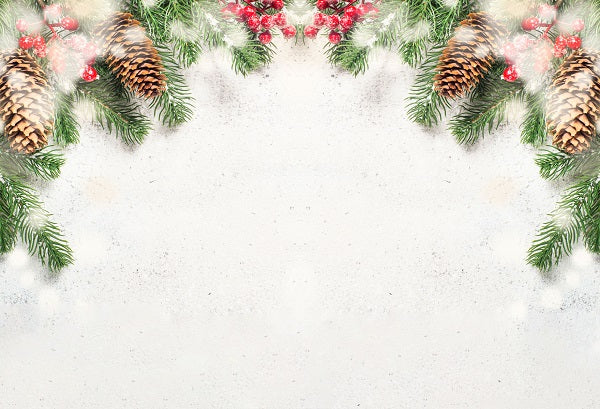 Kate Christmas Fir Tree Branch and Red Decorations Backdrop for Photography
