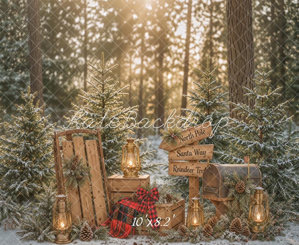 Kate Christmas Forest Lantern Sled Signpost Backdrop Designed by Emetselch - Image 6