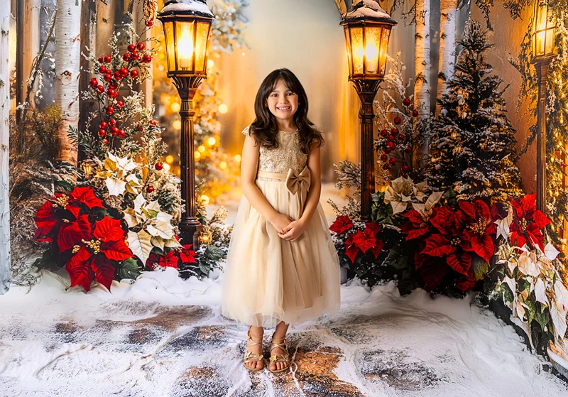 Kate Christmas Lantern Snowy Forest Backdrop Designed by Emetselch