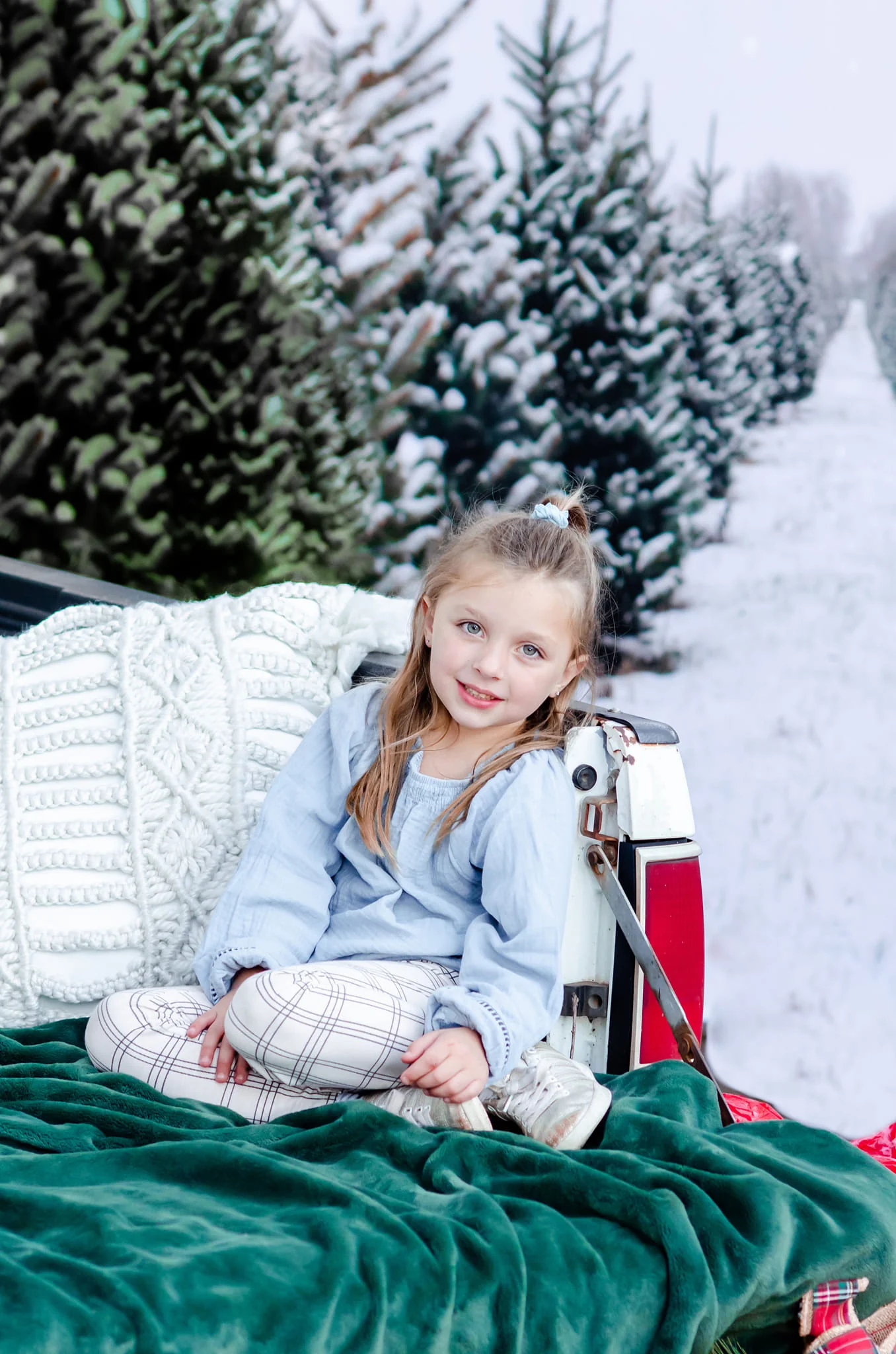 Kate Christmas Pines Tree Farm Path Backdrop for Photography