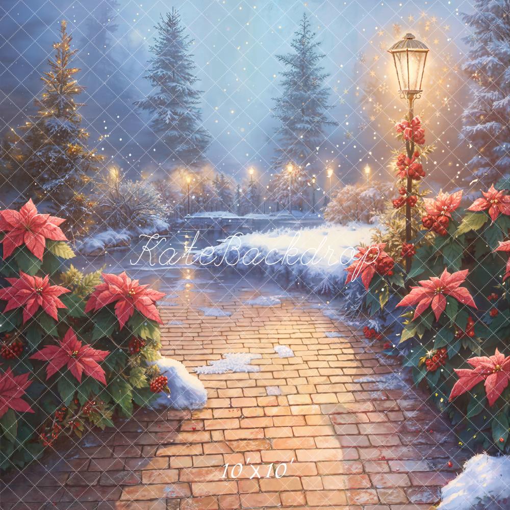 Kate Christmas Snowy Stone Path Poinsettia Lamp Backdrop Designed by Emetselch - Image 7