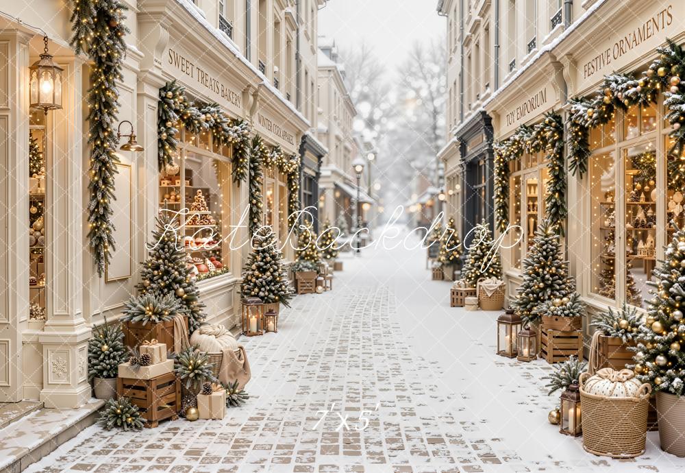 Kate Christmas Snowy Village Street Decorations Backdrop Designed by Emetselch