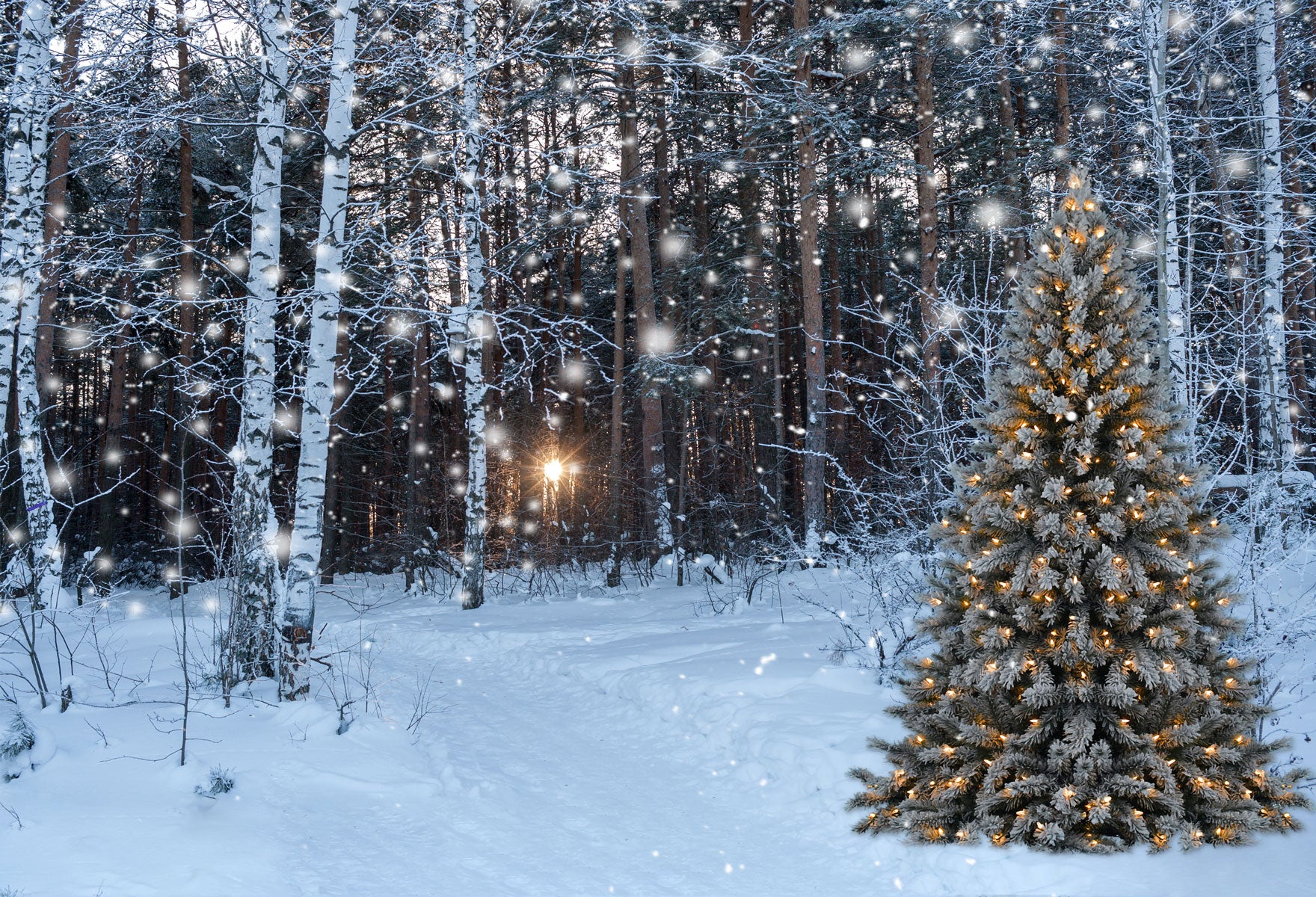 Kate Christmas Tree in snow Backdrops for Photography - Image 2