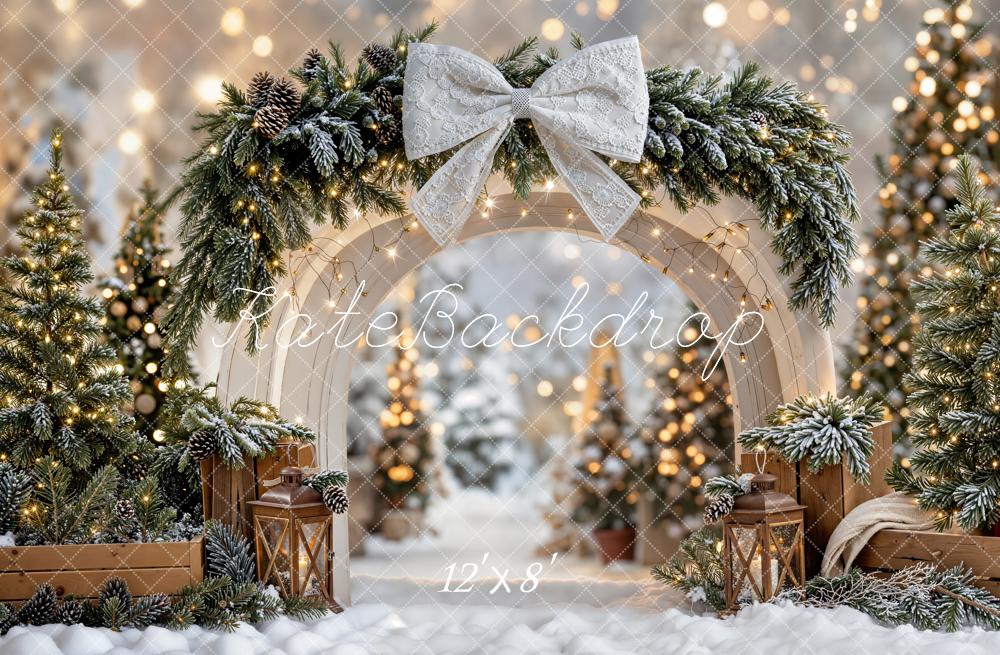 Kate Christmas Winter Arch Snowy Fleece Backdrop Designed by Emetselch - Image 4