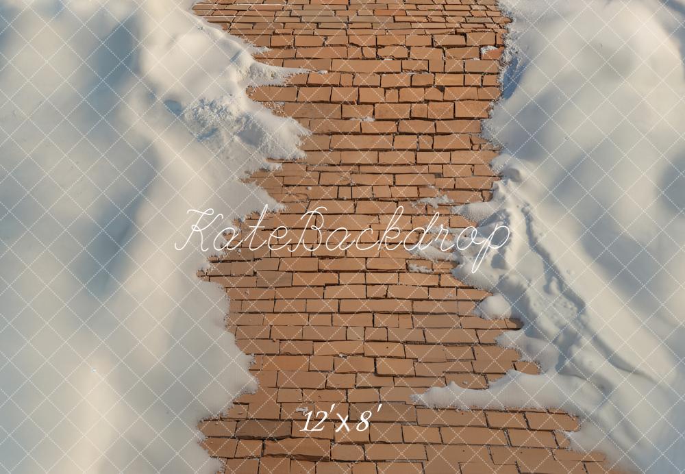 Kate Cobblestone Path Snow Floor Backdrop Designed by Emetselch - Image 8