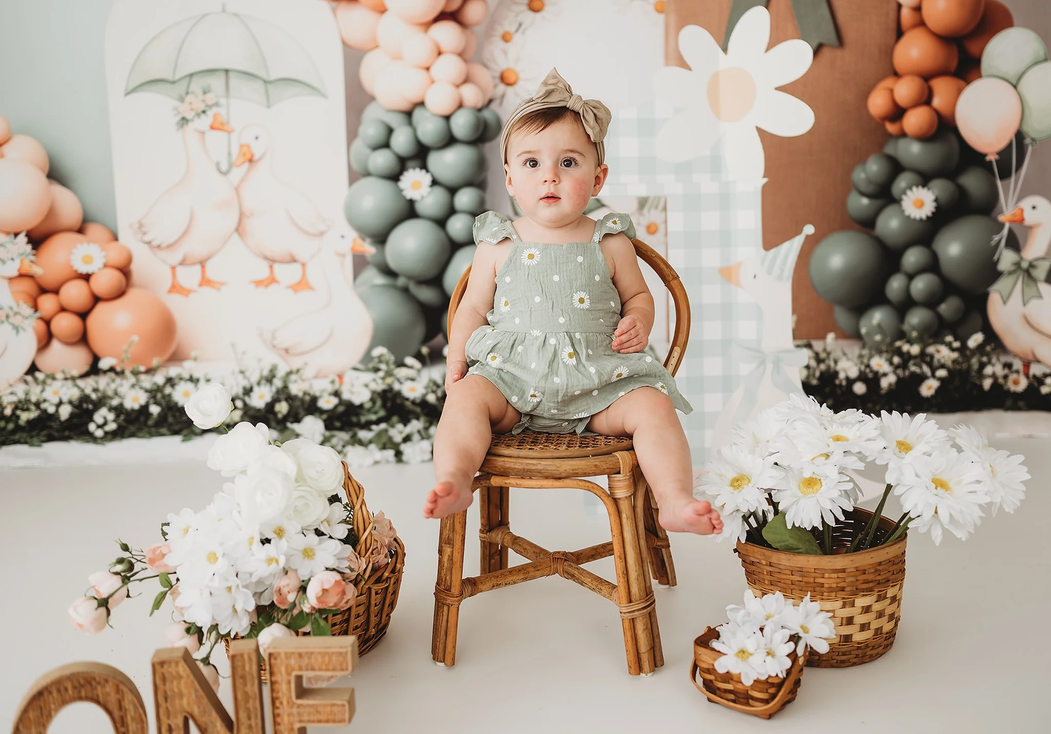 Kate Duck Daisy Balloons Pastel Arch Backdrop Designed by Patty Robert