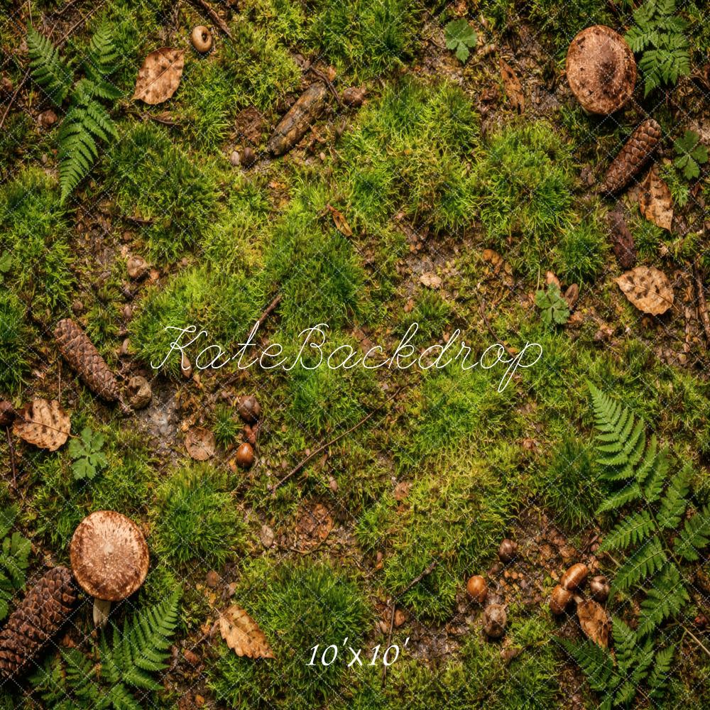 Kate Forest Floor Moss Ferns Pinecones Backdrop Designed by Vertigo Productions - Image 7