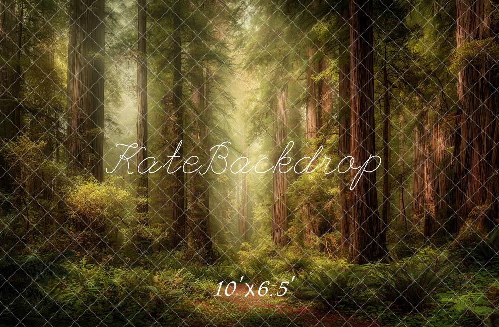Kate Forest Tall Trees Sunlight Fleece Backdrop Designed by Angela Marie Photography - Image 2