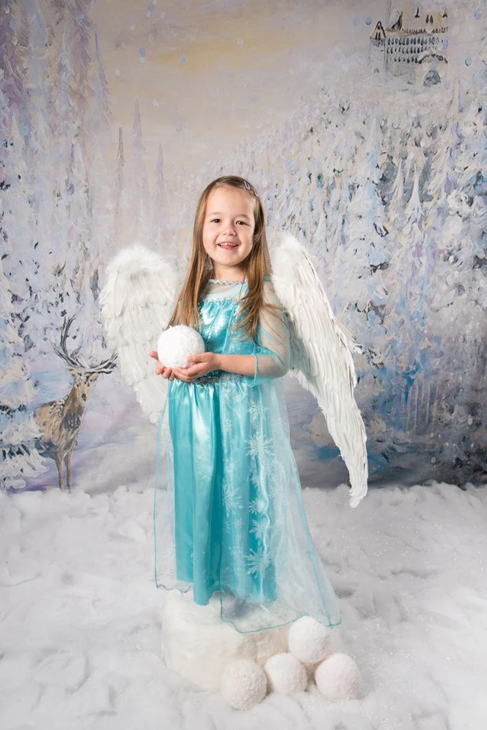 Kate Frozen Forest Deer Winter Painting Backdrop For Children Christmas Photography