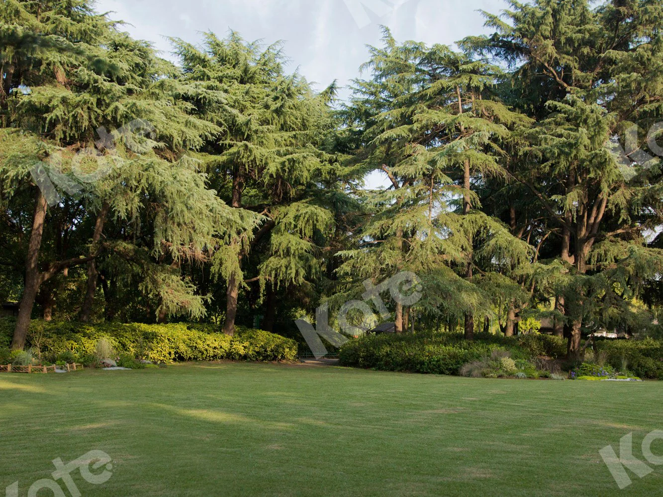 Kate Garden Grass Backdrop for Photography
