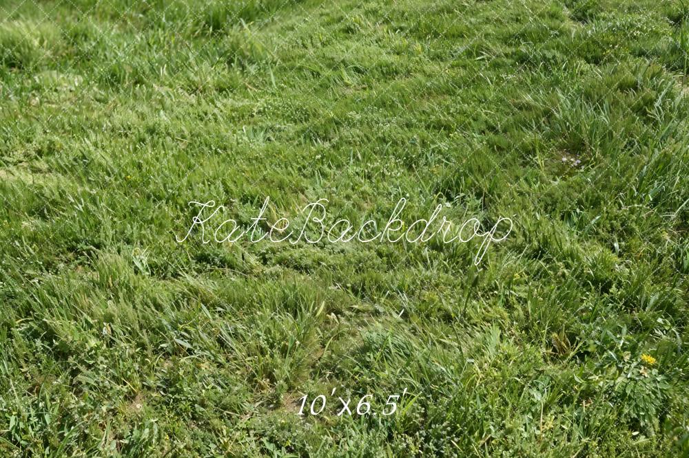 Kate Green Grass Texture Floor Backdrop Designed by Kate Image - Image 4
