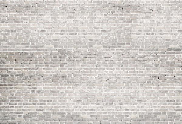 Kate Light Background Brick Wall for Photography