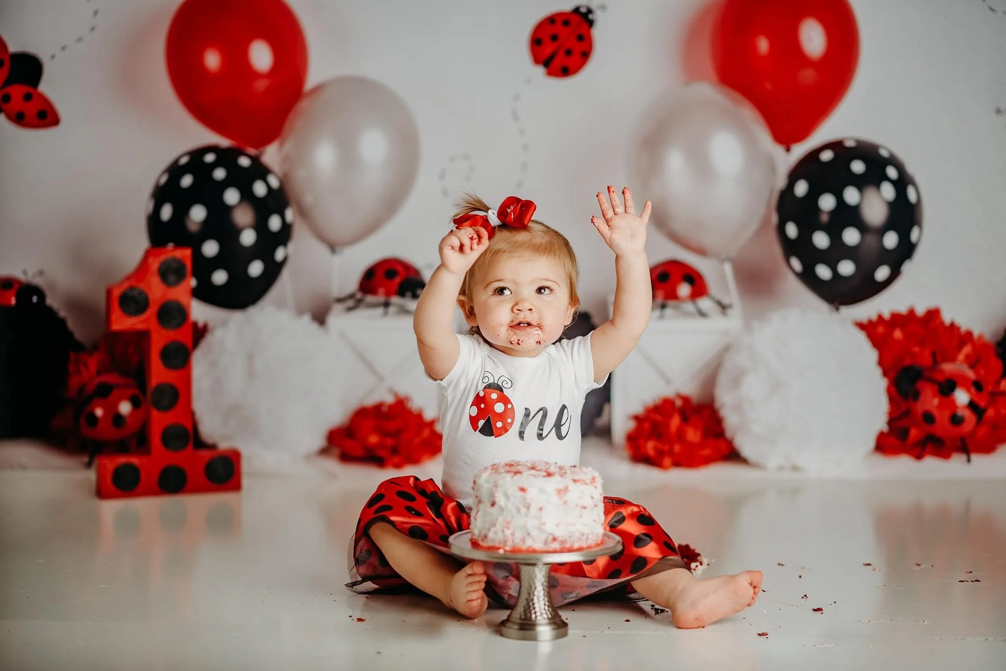Kate Little Lady Bug Birthday Children Backdrop Designed By Mandy Ringe Photography