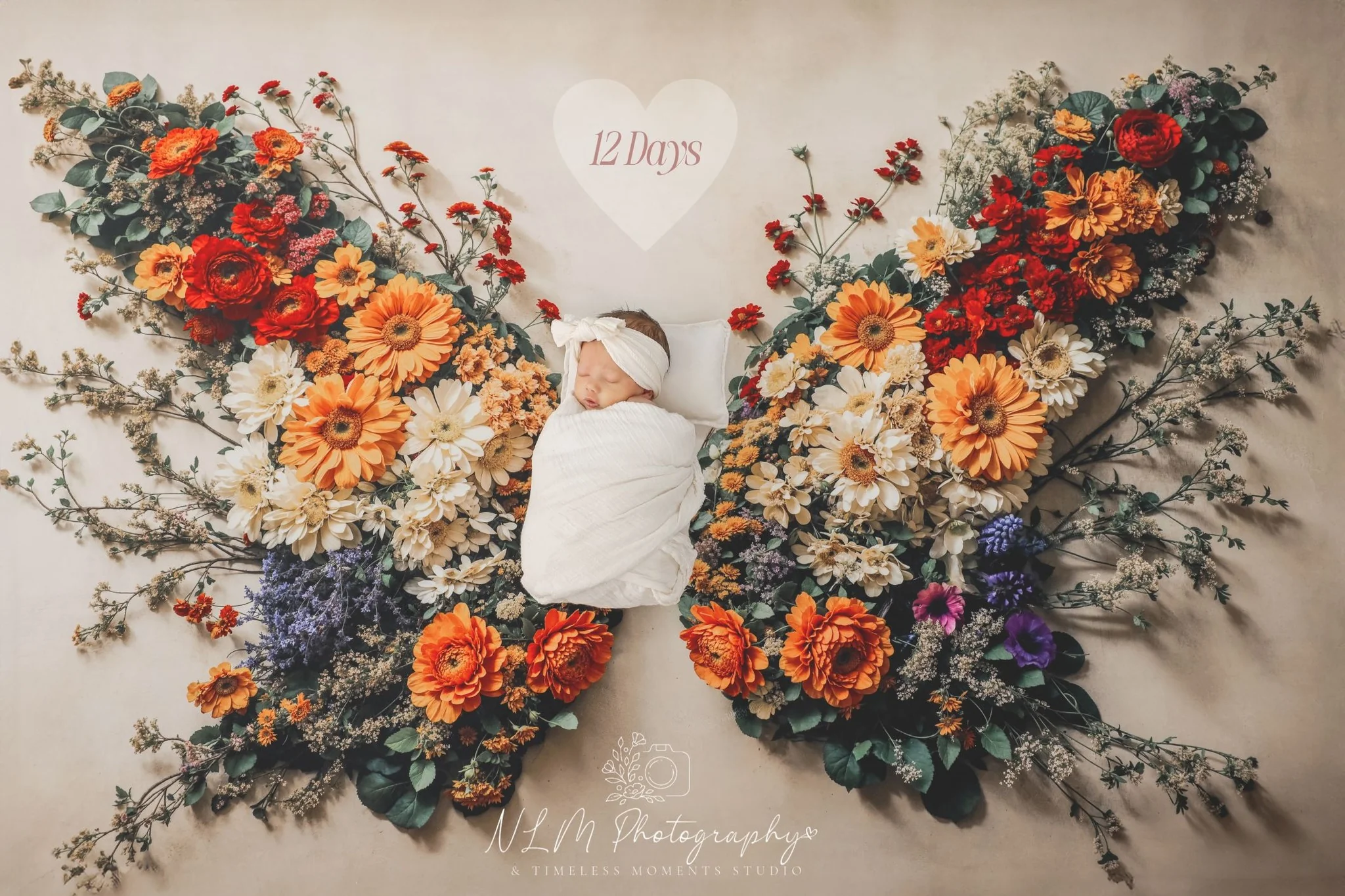 Kate Newborn Flower Butterfly Floor Wall Backdrop Designed by Chain Photography