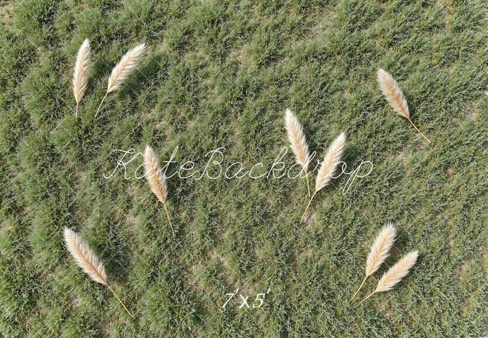 Kate Pampas Grass Field Green Floor Backdrop Designed by Mini MakeBelieve