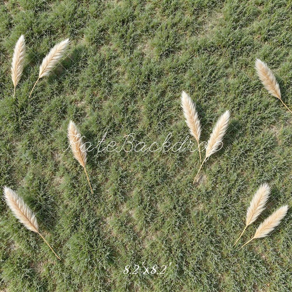 Kate Pampas Grass Field Green Floor Backdrop Designed by Mini MakeBelieve - Image 5