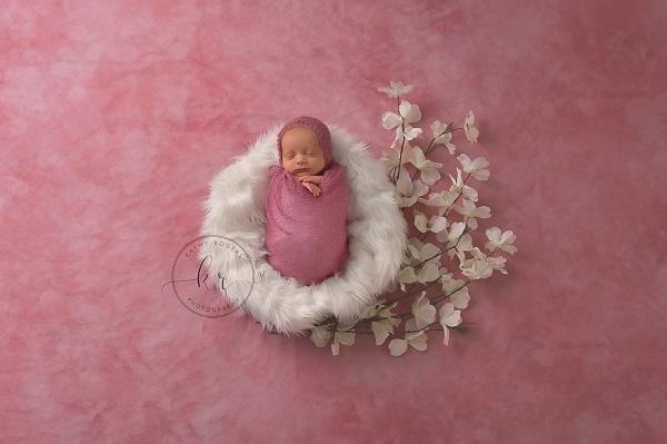 Kate Pink Rosy Blush Backdrop for Photography Designed by Modest Brushes