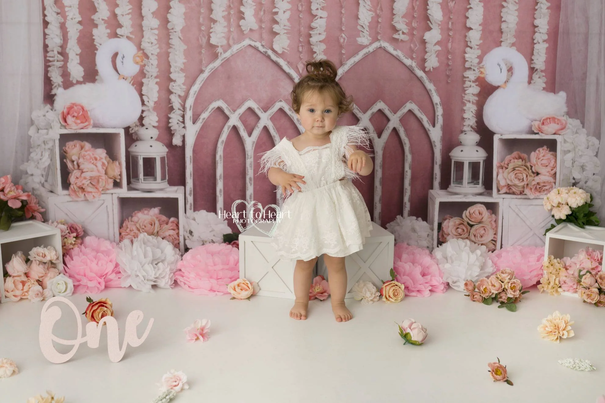 Kate Pink Swan Cake Smash Girly Backdrop for Photography Designed by Lisa B