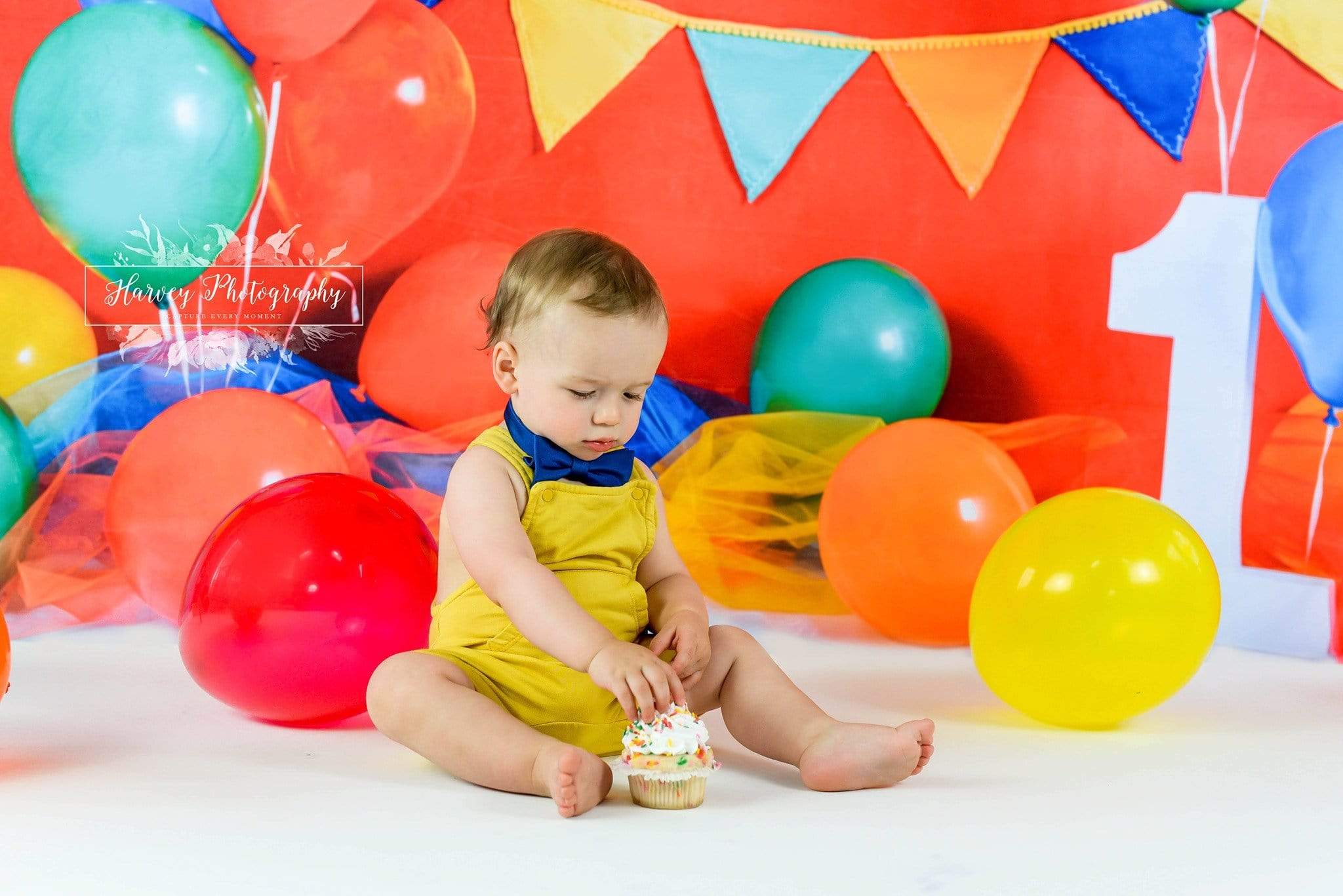 Kate Primary 1st Birthday Backdrop for Photography Designed by Keerstan Jessop