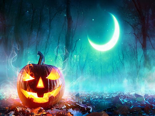 Kate Pumpkin Lamps Moon Night Backdrops for Halloween Photography