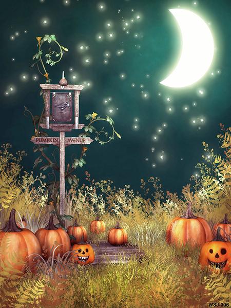 Kate Pumpkin Lamps Star Night Scene Backdrop for Halloween Photography