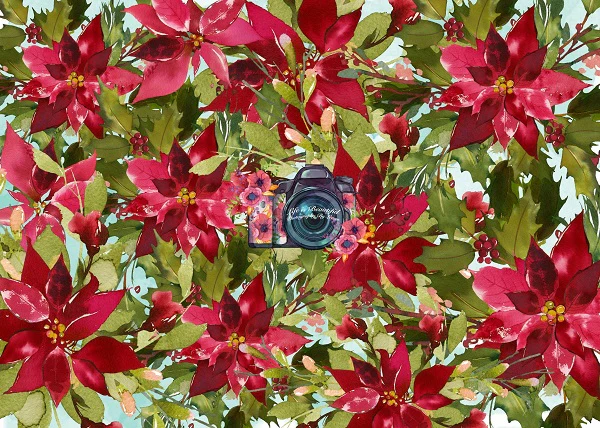 Kate Red Poinsettias Floral Backdrop for Photography Designed By Leann West