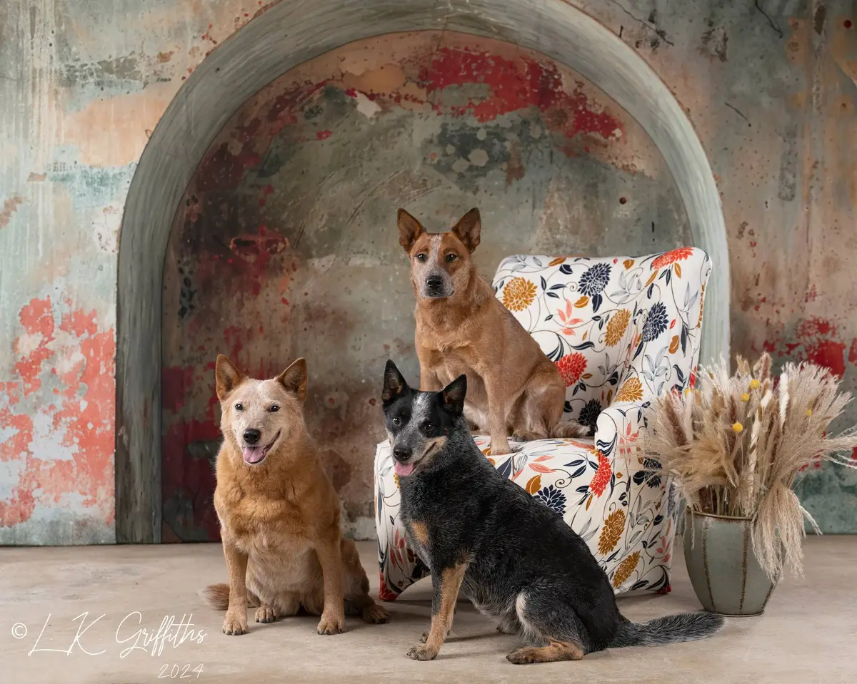 Kate Retro Colorful Graffiti Arch Wall Backdrop Designed by Megan Leigh Photography