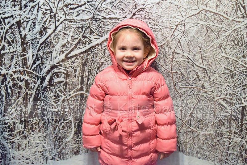 Kate Snow Winter Forest Christmas Backdrop for Kids