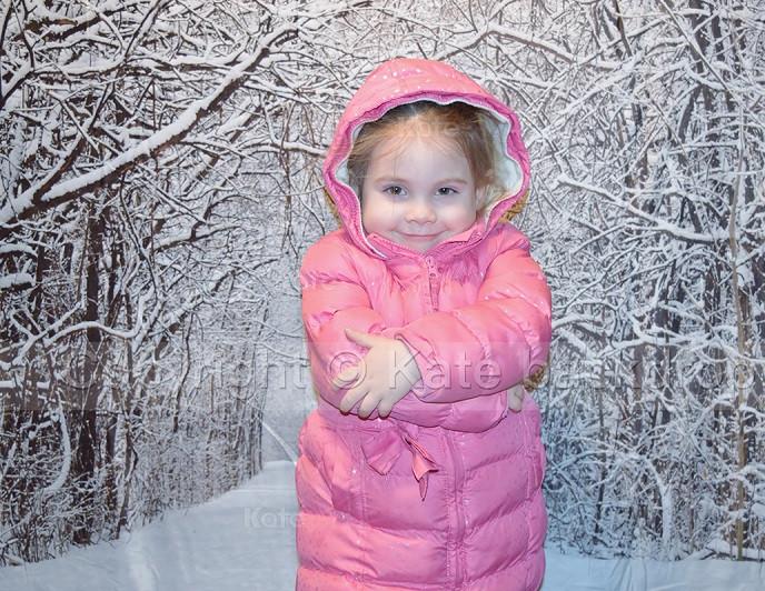 Kate Snow Winter Forest Christmas Backdrop for Kids - Image 3