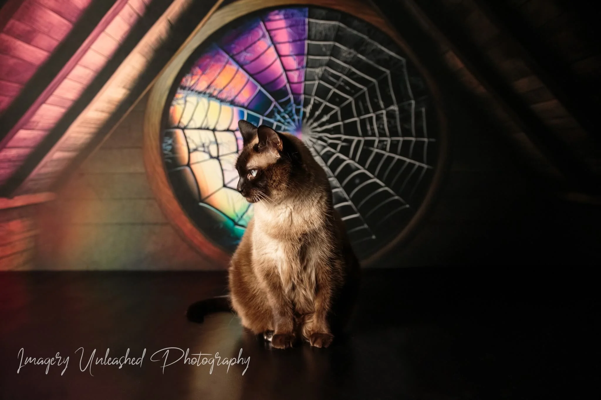Kate Spooky Attic Room Spiderweb Window Backdrop Designed by Mini MakeBelieve - Image 4