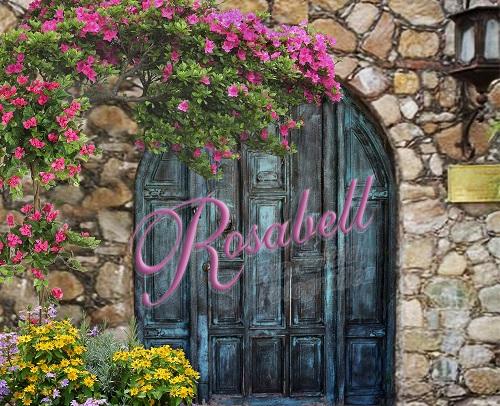 Kate Spring Gate Backdrop Designed by Rosabell Photography